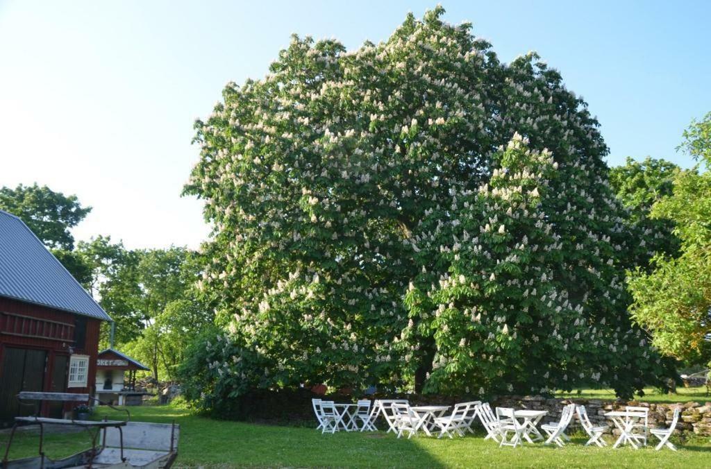 Rosenborgs Friluftspensionat Farjestaden Exterior photo